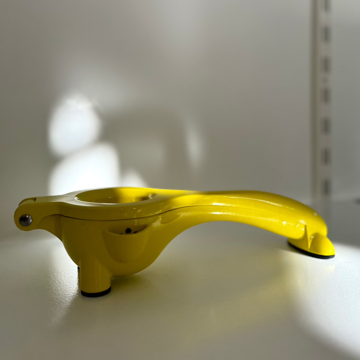 Citrus Squeezer Big // All Colors